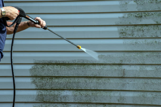 Best Pressure Washing Contractors  in Eastwood, MI