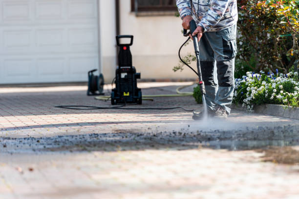 Best Power Washing Near Me  in Eastwood, MI