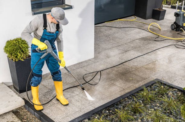 Best Roof Power Washing Services  in Eastwood, MI